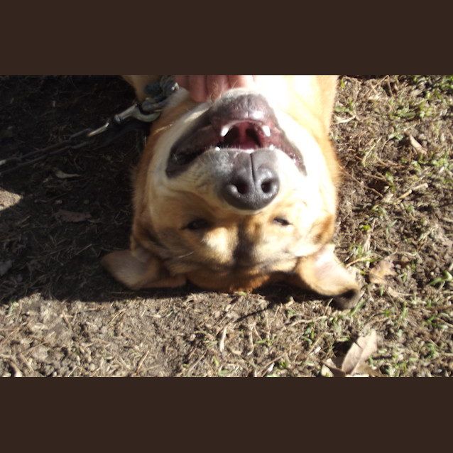Photo of Baz