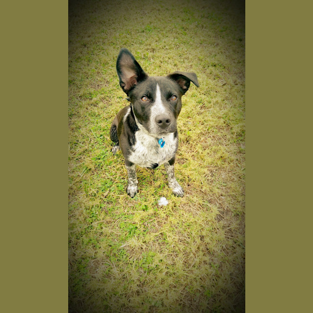 Photo of Missy