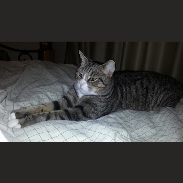 Photo of Simmo