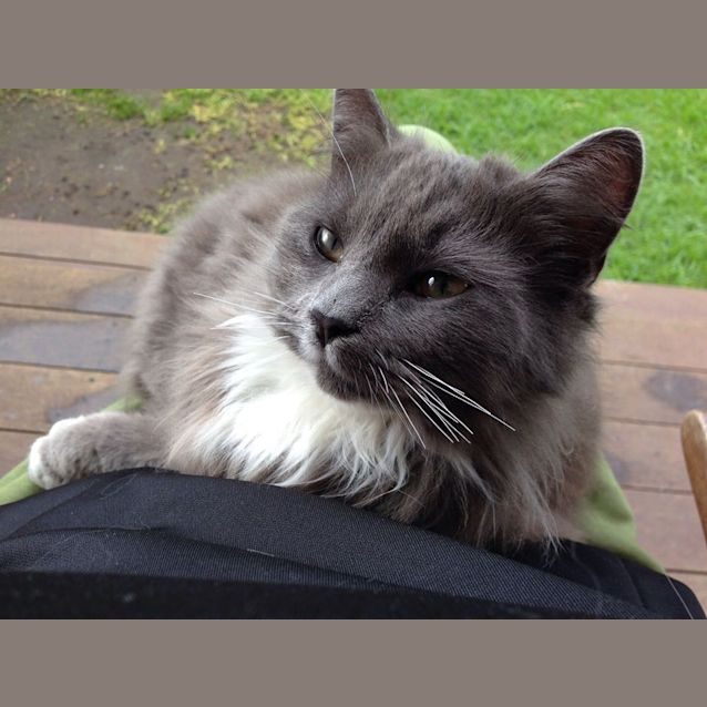 Photo of Tilly