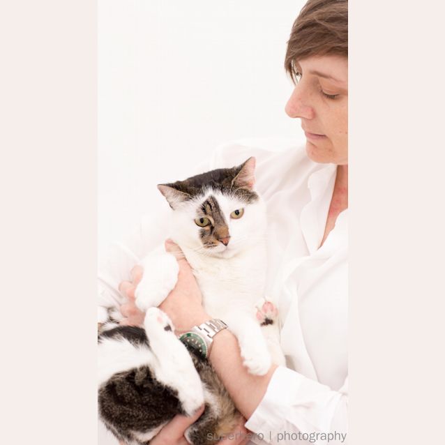 Photo of "Hamish"   Purrfect Match