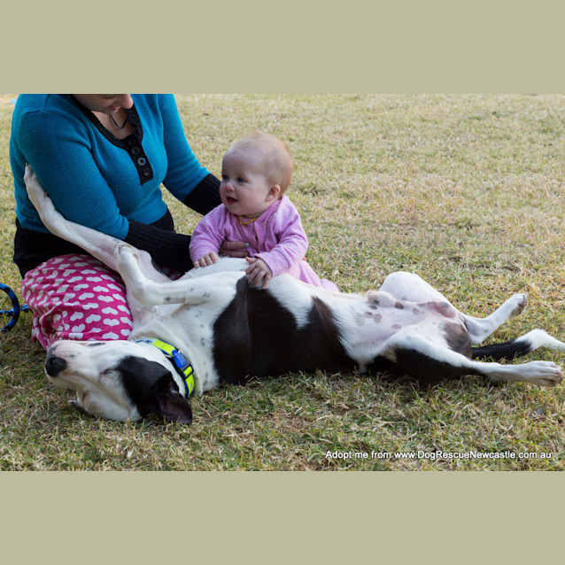 Photo of Zooki (Payment In Progress 14/11/14)