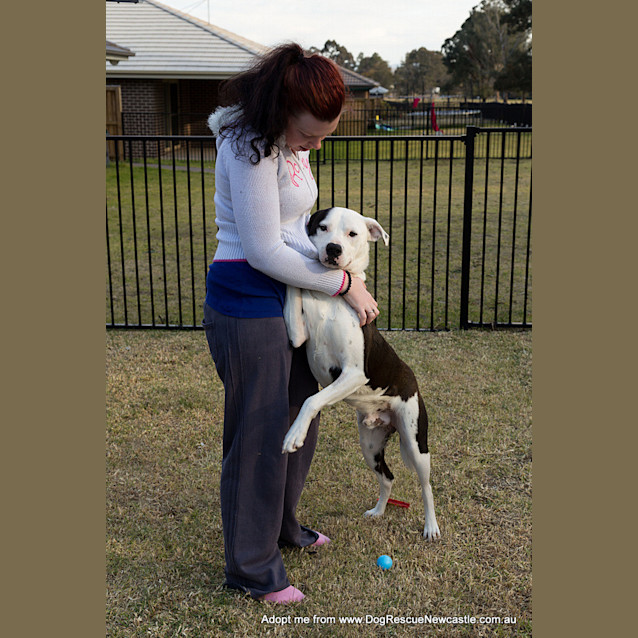 Photo of Zooki (Payment In Progress 14/11/14)