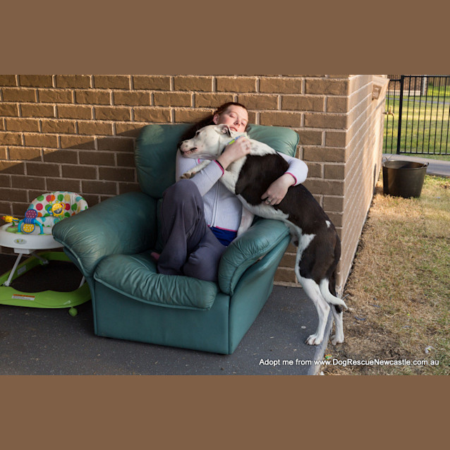 Photo of Zooki (Payment In Progress 14/11/14)