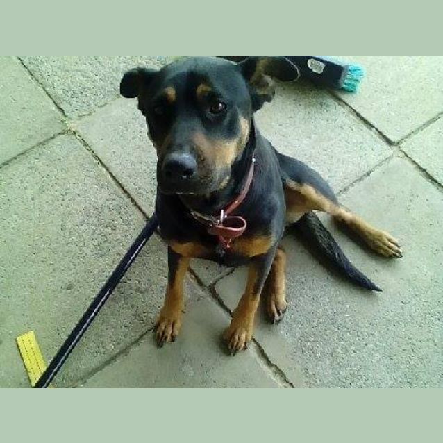 Photo of Jess