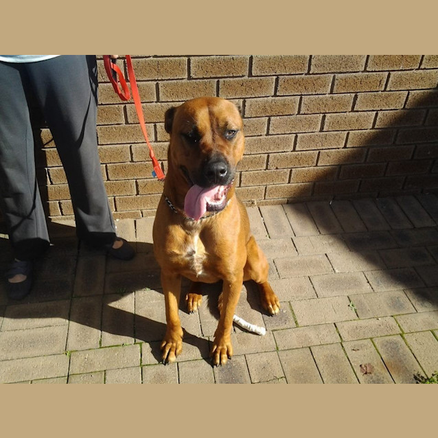 Photo of Zena