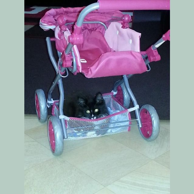 Photo of Sooty