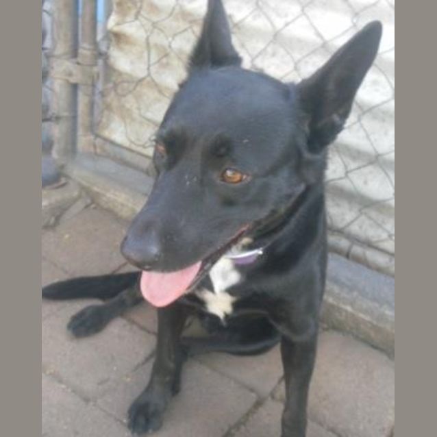 Photo of Jazz