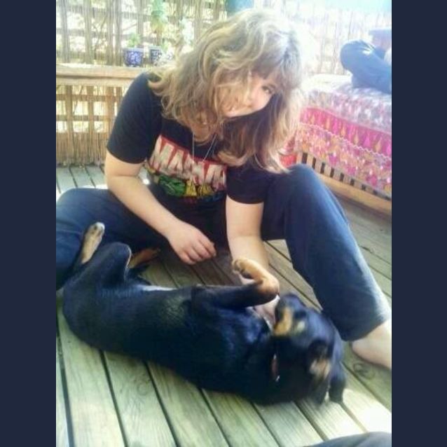 Photo of Boadie (Boadicea) Loves Dogs/Cats/Birds & Kids