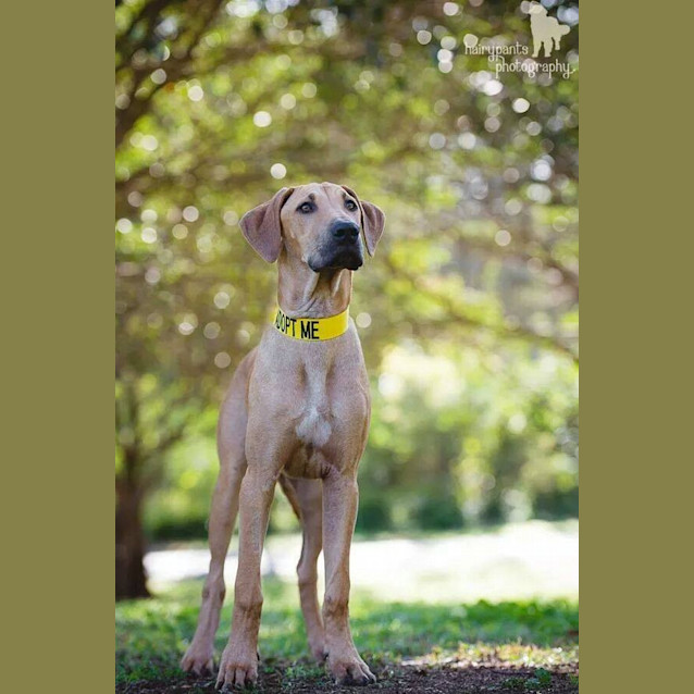 Photo of Lennox