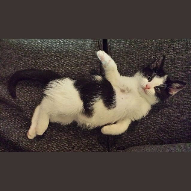 Photo of Max