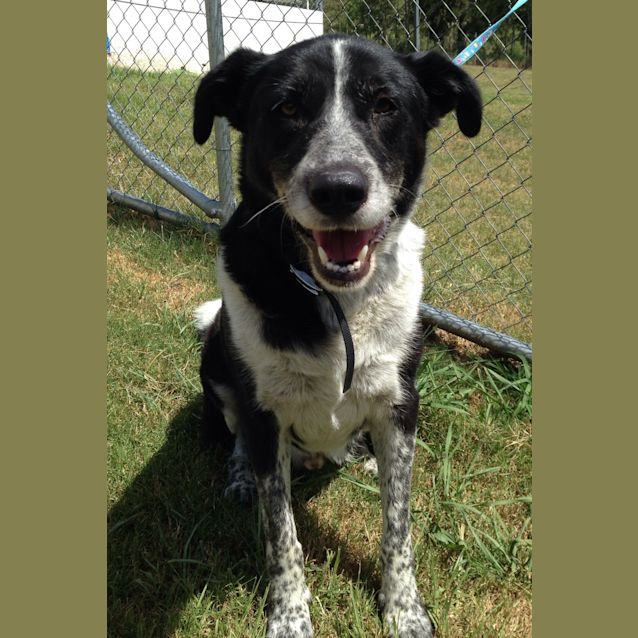 Photo of Tucker