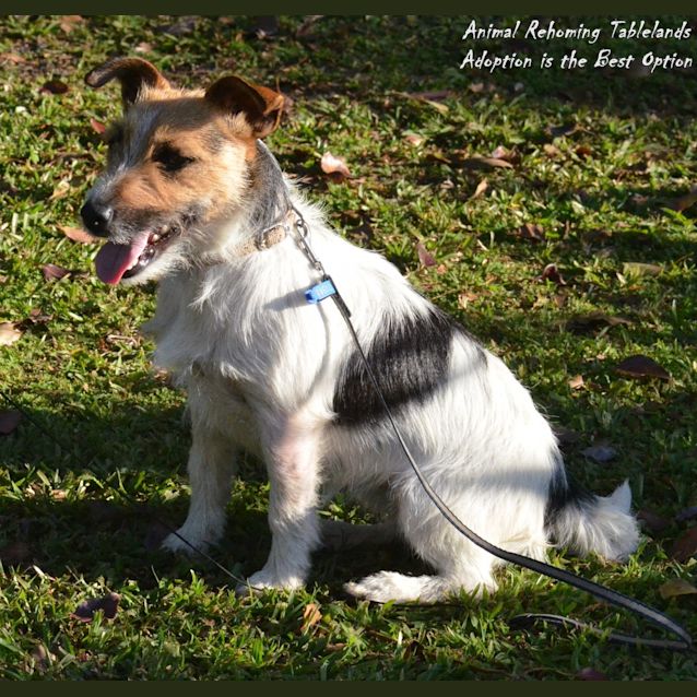Photo of Sadie