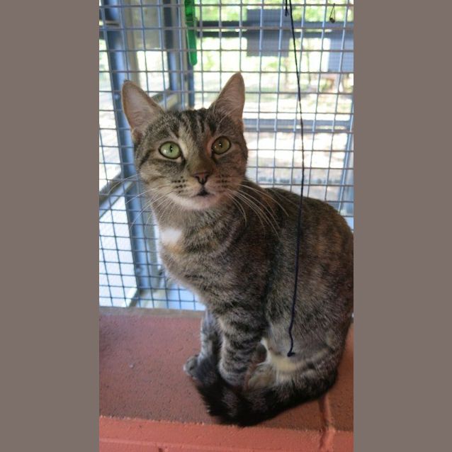 Photo of Tinkerbell