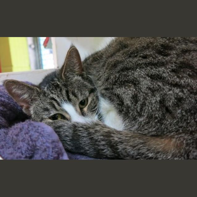 Photo of Beatrice