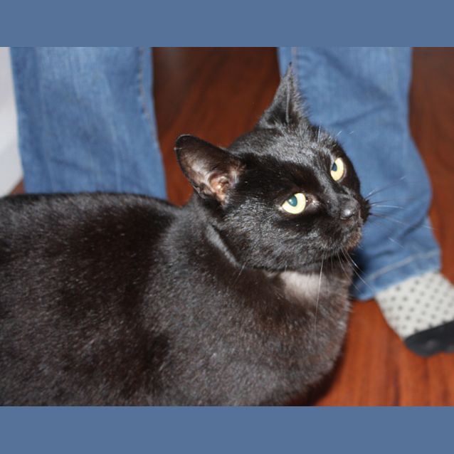 Photo of Harriet (Bn C256) 