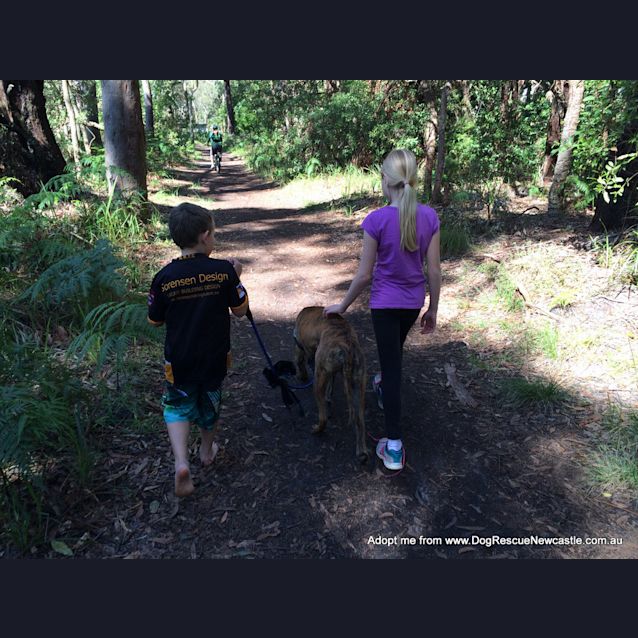 Photo of Ben (On Trial 9/10/14)
