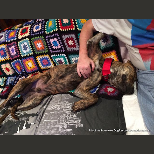 Photo of Ben (On Trial 9/10/14)