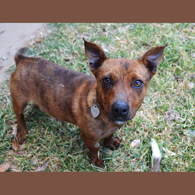 Photo of Atlas