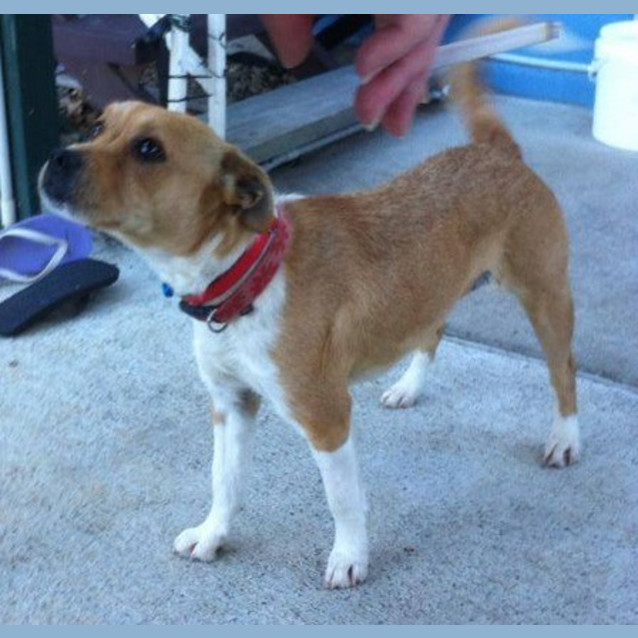 Photo of Aggie