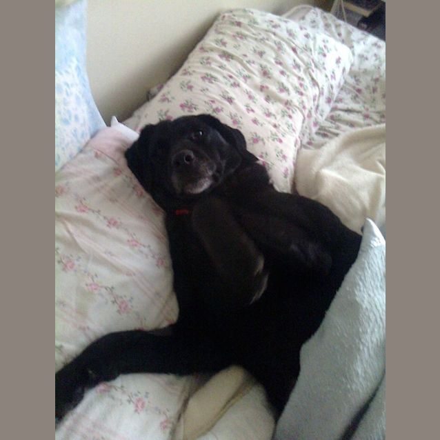 Photo of Zarlie