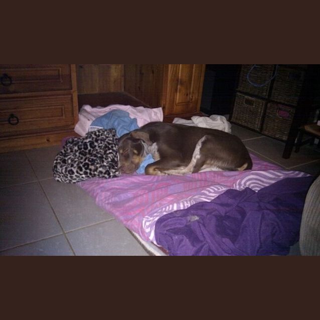 Photo of Charlie