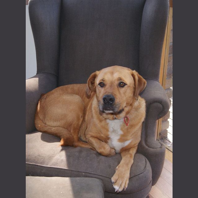 Photo of Missy