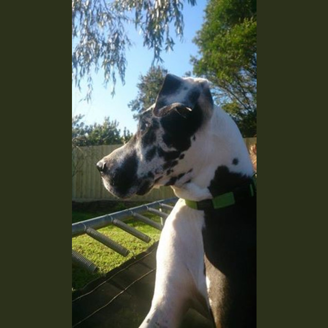 Photo of Keesha