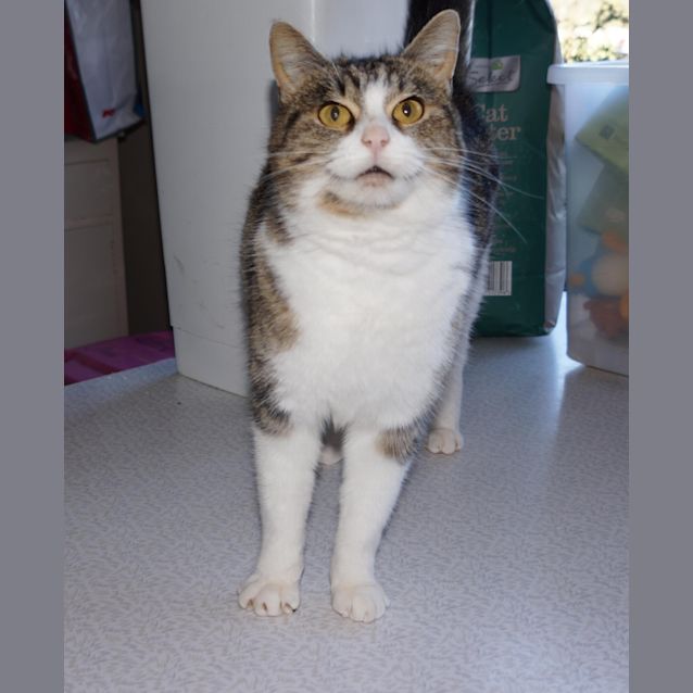 Photo of Cilla