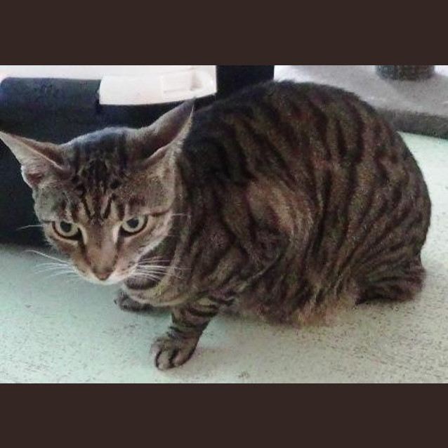 Photo of Timmy