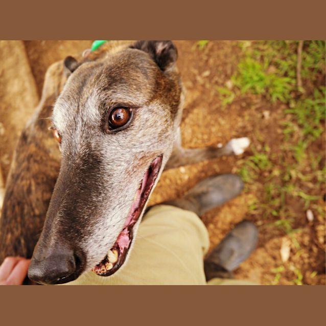 Photo of Jay Jay