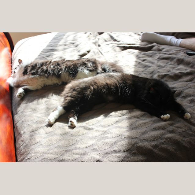 Photo of Zarla & Marli