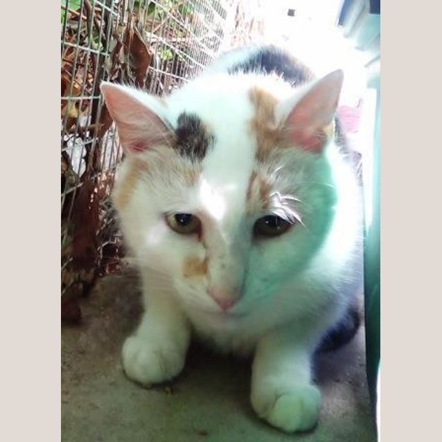 Photo of Sally