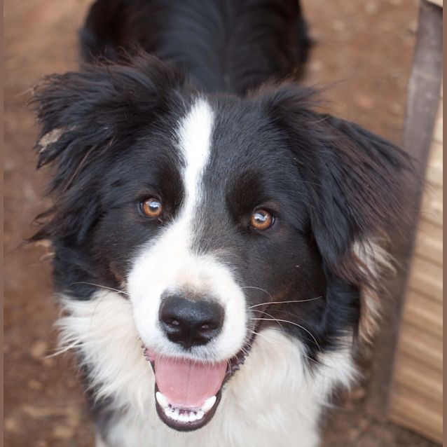Photo of Jed2
