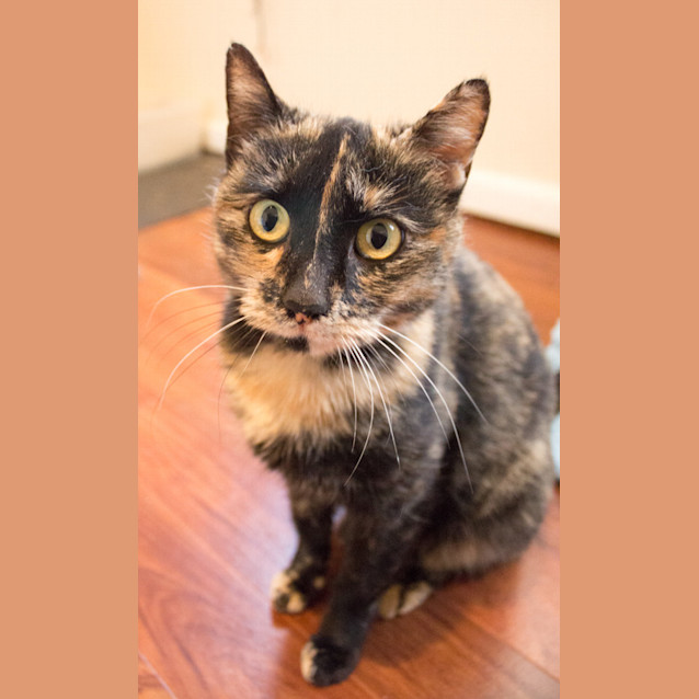 Photo of Tia