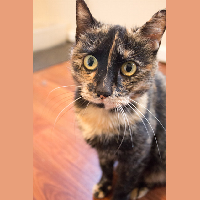 Photo of Tia