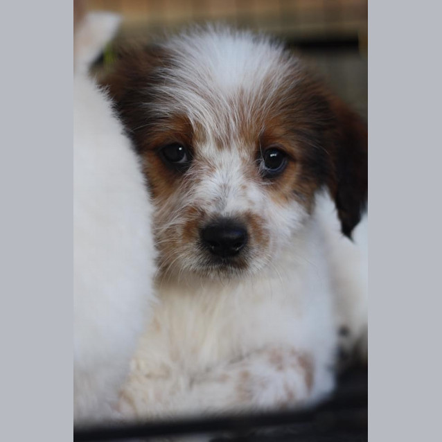 Photo of Alabama (Ally)