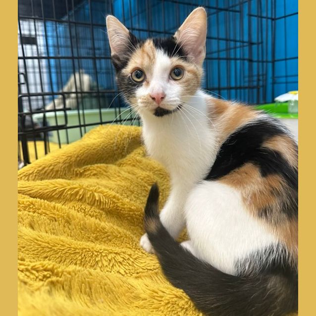Photo of Kiki