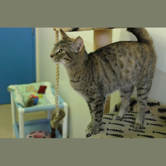Photo of Ivy