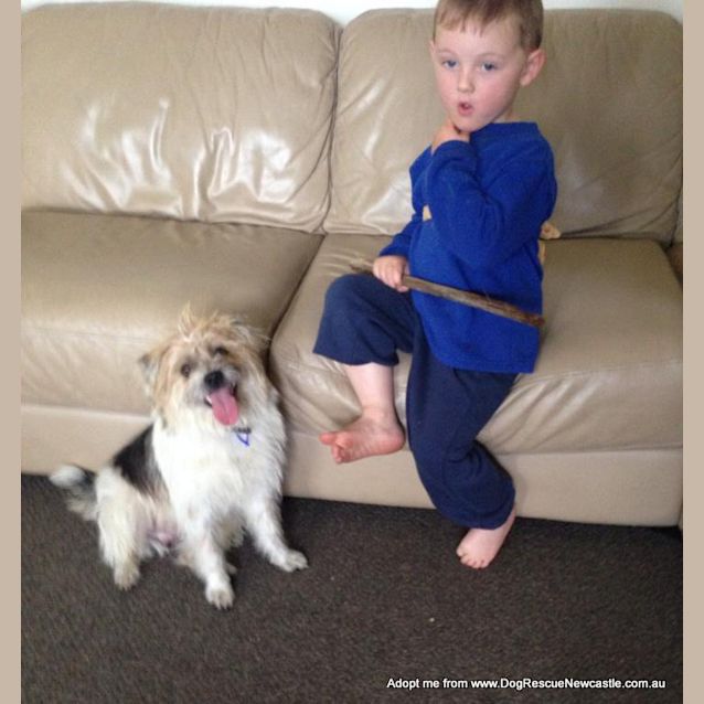 Photo of Boomba (On Trial 27/9/14)