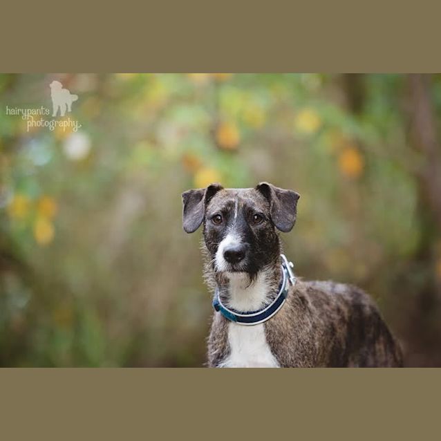 Photo of Meggie