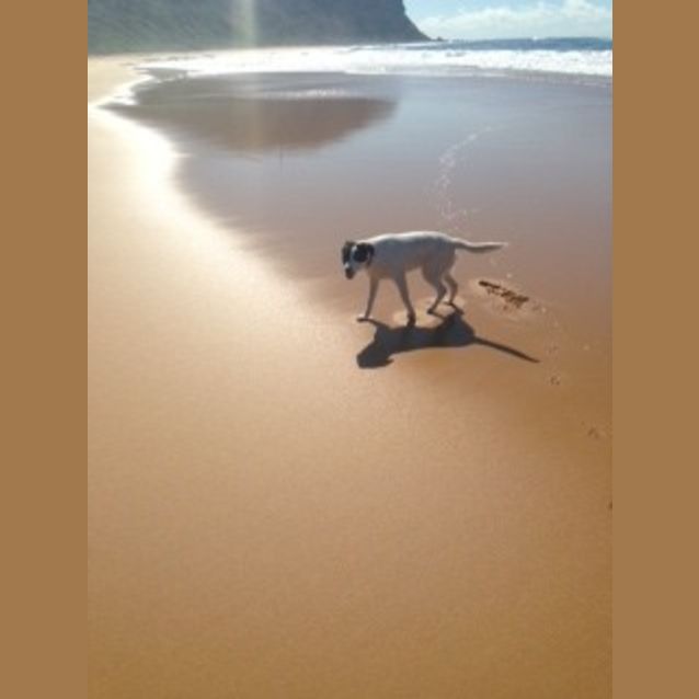 Photo of Rosie