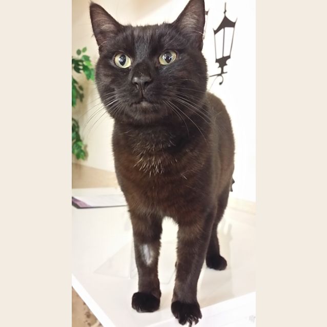 Photo of Zeke