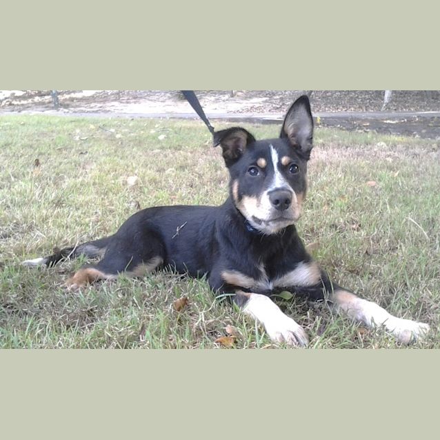 Photo of 026 9823 Byron