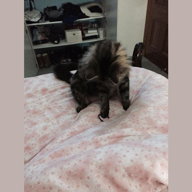 Photo of Ruby And Ablett