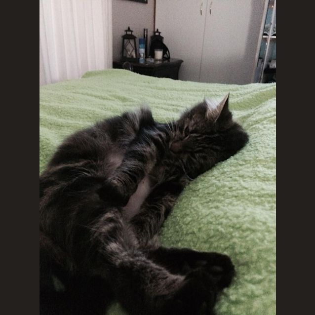 Photo of Ruby And Ablett