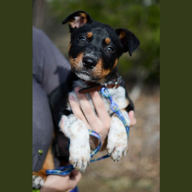 Photo of Wally