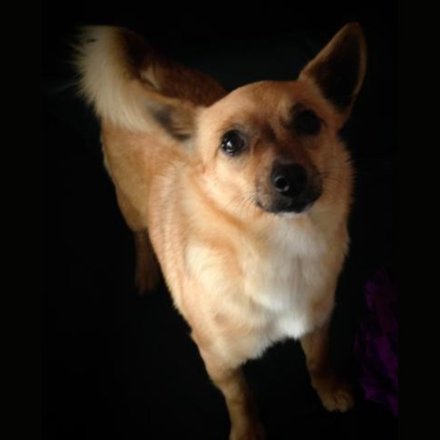 Photo of Esmay