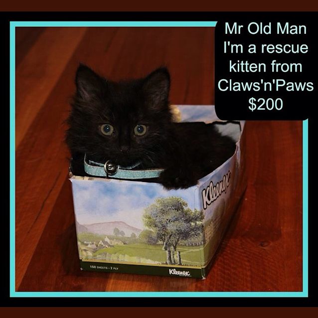 Photo of Old Man