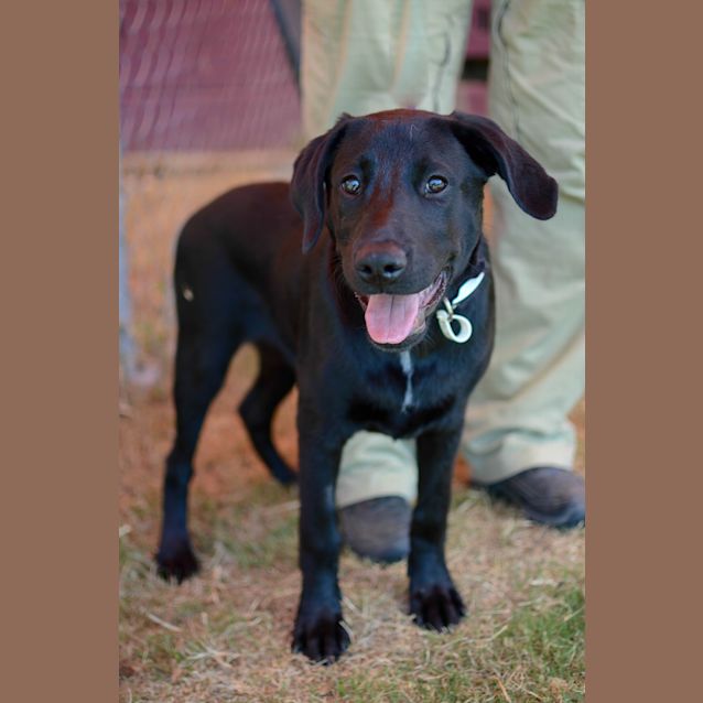 Photo of Sambucca